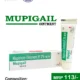 Mupirocin Ointment