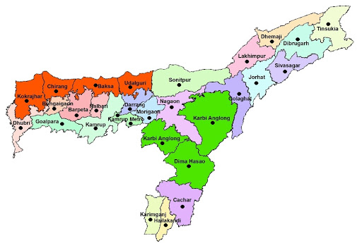 Derma Pharma Franchise in Assam 